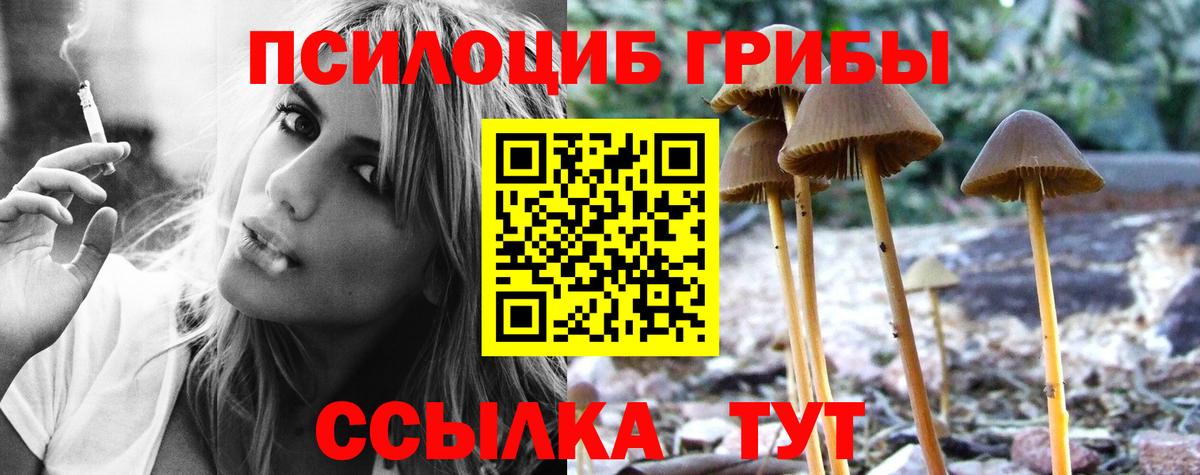 Псилоцибиновые грибы GOLDEN TEACHER  Вход с VPN  Каспийск 