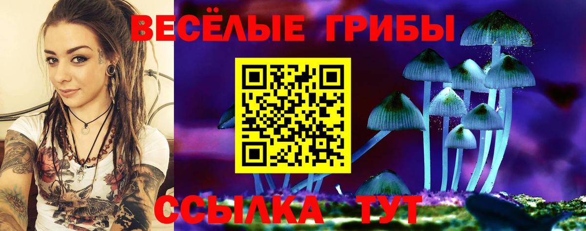 Галлюциногенные грибы мухоморы Каспийск